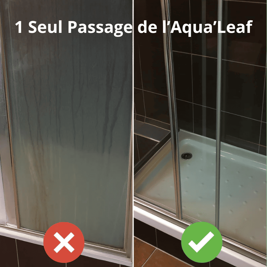 AQUA'LEAF : NETTOYAGE ET SÉCHAGE ULTRA ABSORBANT